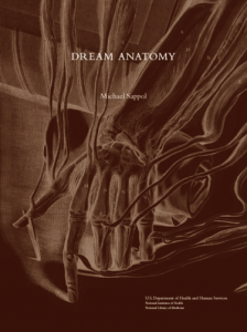 Dream Anatomy