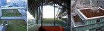 Green Roofs